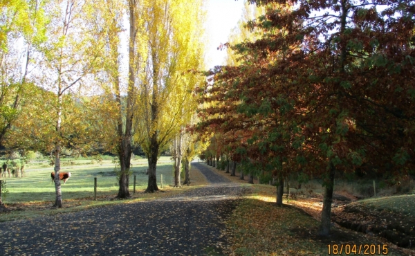 Driveway down to road