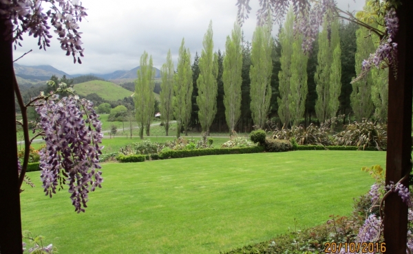 Exterior - looking towards driveway